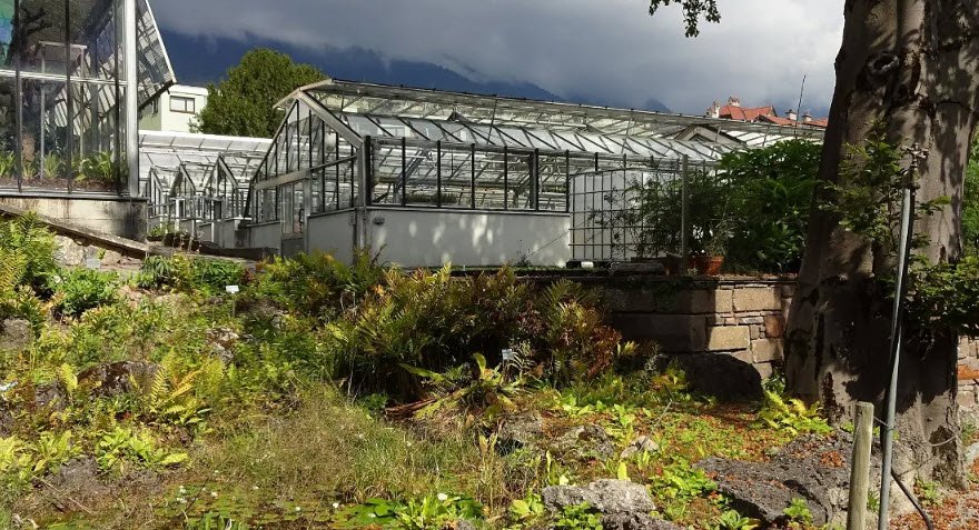 Innsbruck University Botanical Garden, Austria